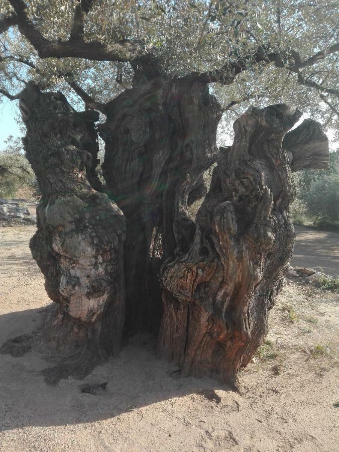 La Mallada San Jorge  Esterno foto